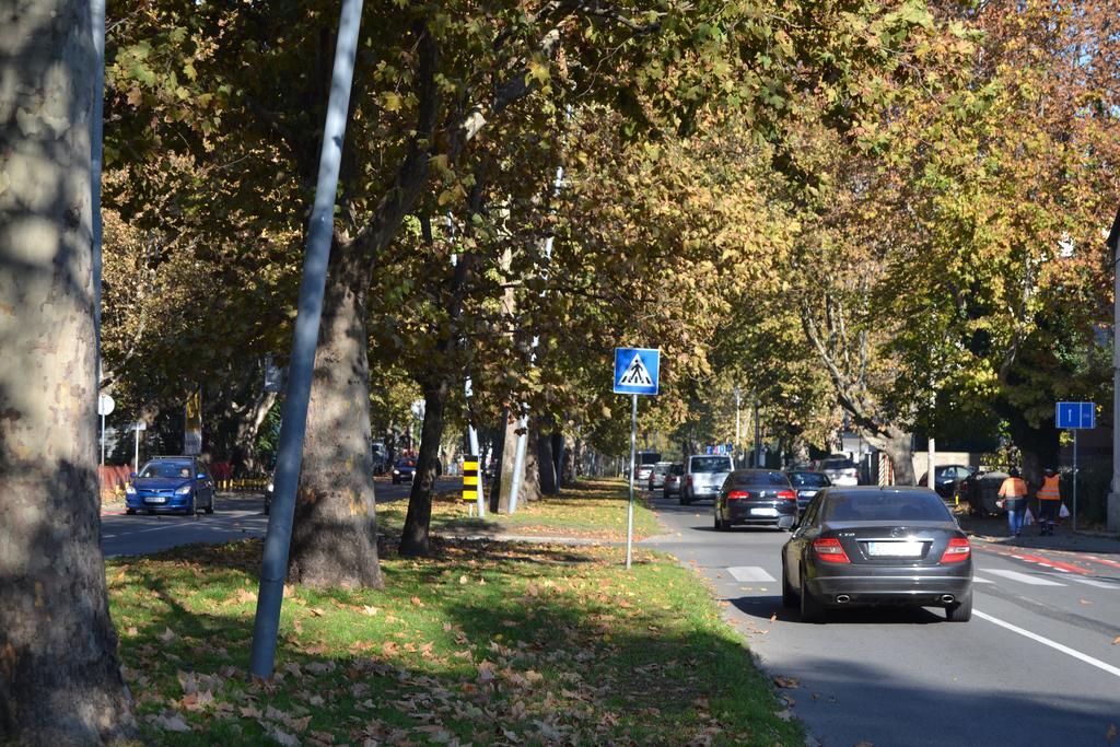 Villa K Apartments Beograd Rom bilde